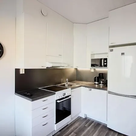 Studio In Downtown Jyvaskyla